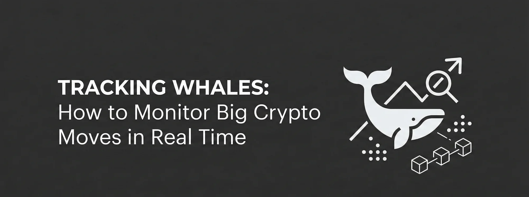 Tracking Whales: How to Monitor Big Crypto Moves in Real Time ...